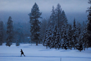 Dusk paints a blue hue around a cross-country skier on the Whitefish Golf Course ski trails. Image Credit: Lido Vizzutti, Flathead Beacon